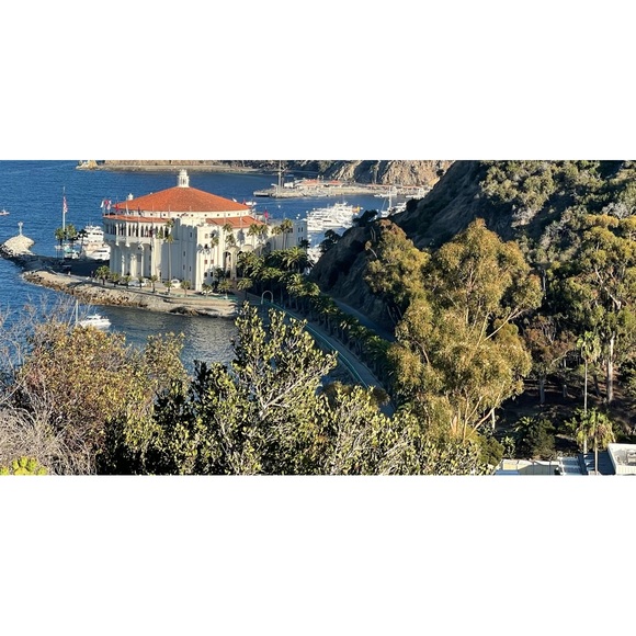 Meet your Posher, Michele - Picture 1 of 1